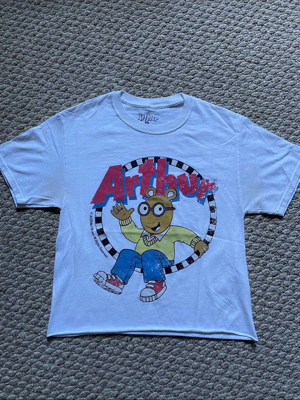 Arthur cartoon crop top shirt